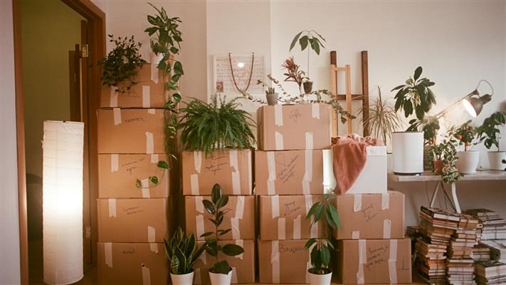 Moving boxes and household belongings prepared for an organized move